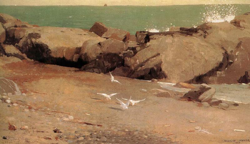Winslow Homer Rocky shore and the seagulls Germany oil painting art